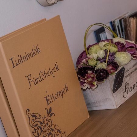 Belvarosi Vintage Apartman A Setaloutcan Miskolc Eksteriør billede